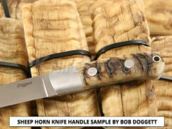 Sheep Horn - Knife Handle Scales - 5yrs Dried - (4.8 X 1.4 X .3) - (Set 316-251) -Knife Kits Sales Shop 1 sheep scl sample 600 113