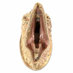 Guard - Screaming Hawk - (1-1/4 X 5/8 X 3/4) - [0.43 X 0.09 Slot] - Bronze -Knife Kits Sales Shop 440100B img3 1500