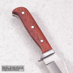 Persian Fighter - Full Tang - 440SS/420SS - DIY Blade Kit - (Blade, SS Guard & Pinstock Only) 17 Persian Fighter - Full Tang - 440SS/420SS - DIY Blade Kit - (Blade, SS Guard & Pinstock Only) -Knife Kits Sales Shop KKBL011 sample 3 1500