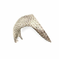 Pommel - Cobra Head - Nickel Silver -Knife Kits Sales Shop SL440003N img2 1500