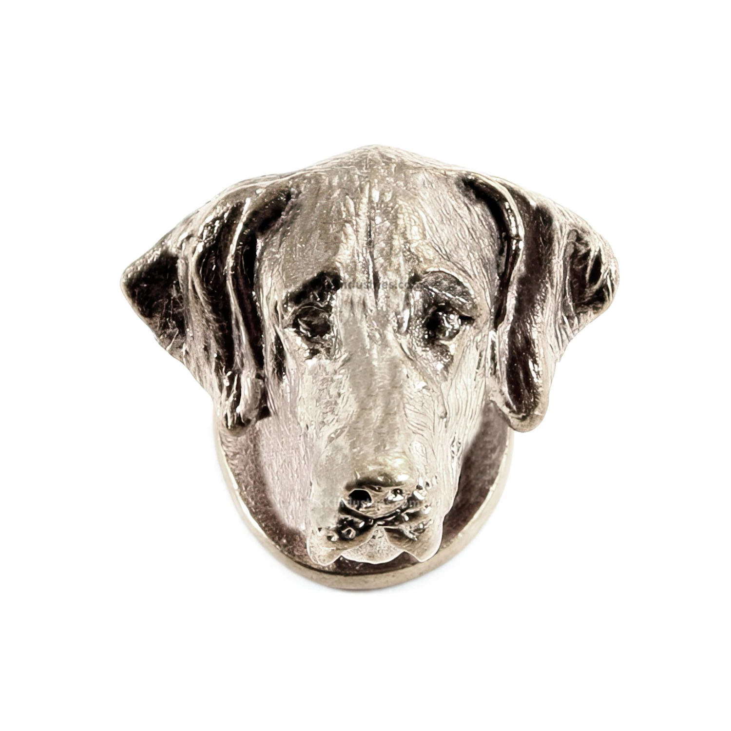 Pommel - German Shorthaired Pointer Head - Nickel Silver 4 Pommel - German Shorthaired Pointer Head - Nickel Silver - Image 2