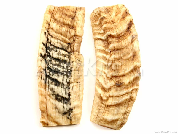 Sheep Horn - Knife Handle Scales - 5yrs Dried - (4.7 X 1.1 X .3) - (Set 316-320) 3 Sheep Horn - Knife Handle Scales - 5yrs Dried - (4.7 X 1.1 X .3) - (Set 316-320)