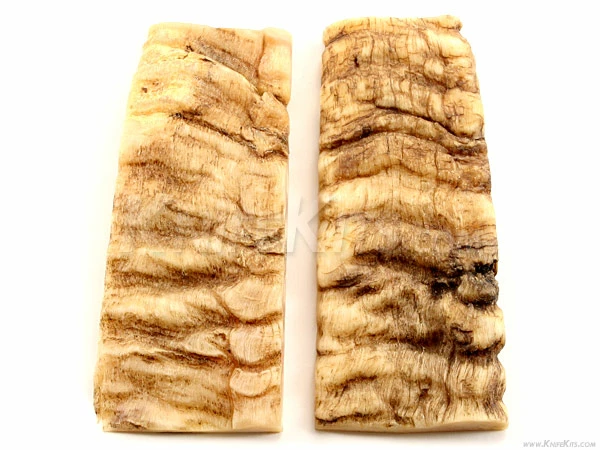 Sheep Horn - Knife Handle Scales - 5yrs Dried - (4.8 X 1.6 X .3) - (Set 316-332) 3 Sheep Horn - Knife Handle Scales - 5yrs Dried - (4.8 X 1.6 X .3) - (Set 316-332)
