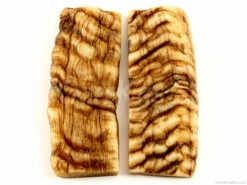 Sheep Horn - Knife Handle Scales - 5yrs Dried - (4.87 X 1.32 X .4) - (Set 316-491)