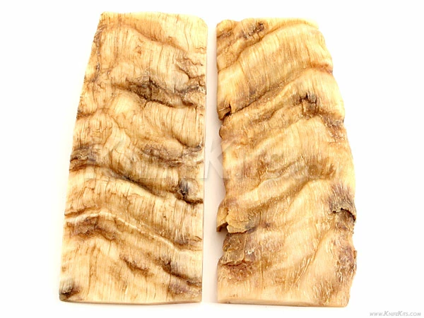 Sheep Horn - Knife Handle Scales - 5yrs Dried - (4.8 X 1.5 X .3) - (Set 316-62) 3 Sheep Horn - Knife Handle Scales - 5yrs Dried - (4.8 X 1.5 X .3) - (Set 316-62)