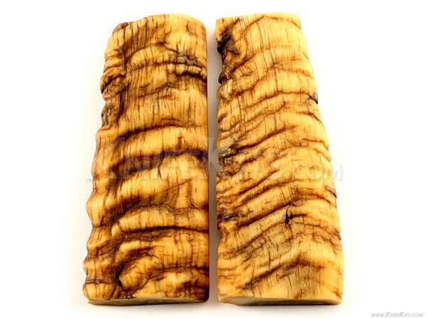 Sheep Horn - Knife Handle Scales - 5yrs Dried - (4.87 X 1.31 X .5) - (Set 316-712) 3 Sheep Horn - Knife Handle Scales - 5yrs Dried - (4.87 X 1.31 X .5) - (Set 316-712)