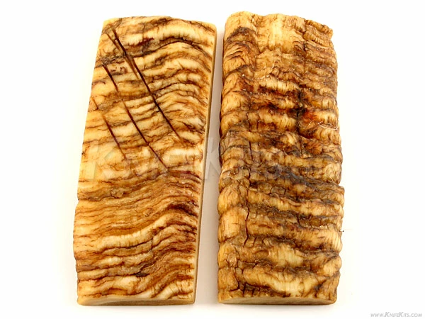 Sheep Horn - Knife Handle Scales - 5yrs Dried - (4.87 X 1.81 X .4) - (Set 316-713) 3 Sheep Horn - Knife Handle Scales - 5yrs Dried - (4.87 X 1.81 X .4) - (Set 316-713)